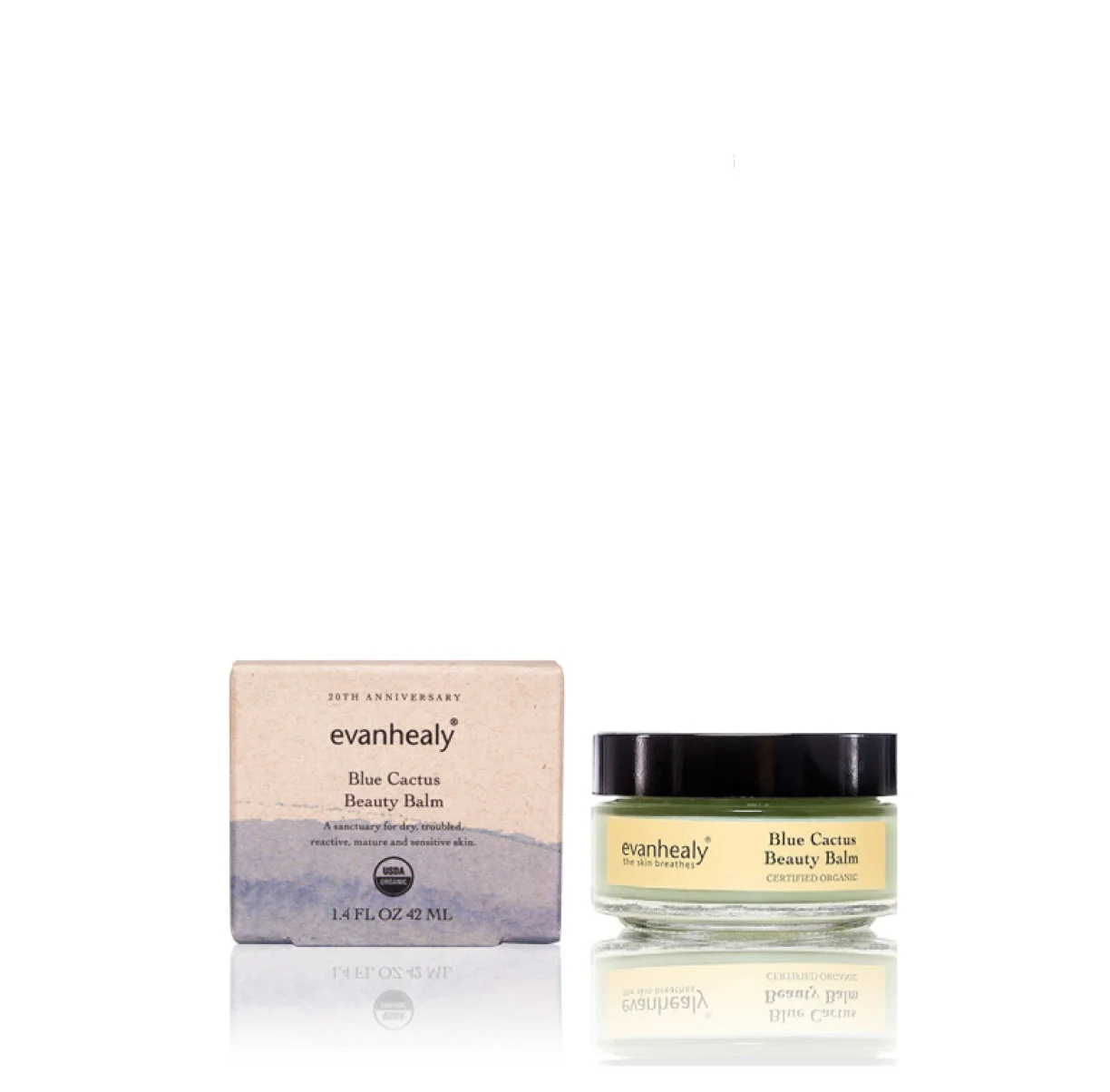 evanhealy Blue Cactus Beauty Balm - Image 2