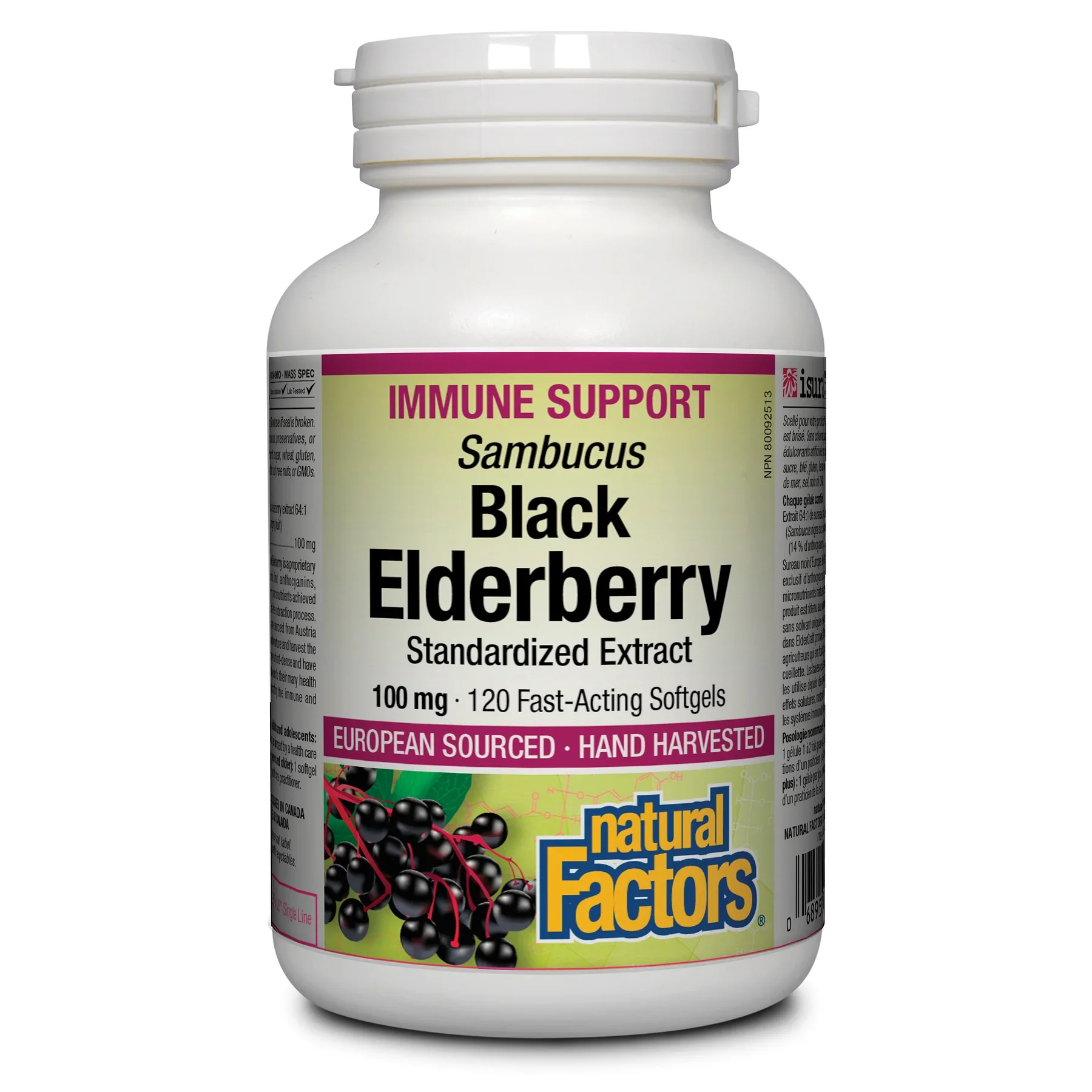 Natural Factors Black Elderberry Standardized Extract 100 Mg - Image 2